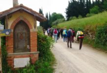 Domenica 12 maggio bella passeggiata sulla colline de La Romola con Le Vie del Chianti