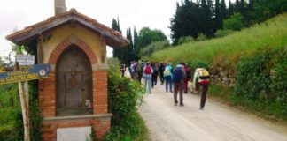 Domenica 12 maggio bella passeggiata sulla colline de La Romola con Le Vie del Chianti