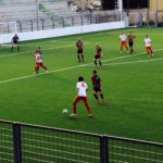 grassina grosseto IMG_2736