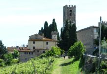 Domenica 2 giugno. Correre un’altra vita con la Chianti Classico Marathon