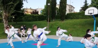 Karate, in 40 sul tatami. Per un bellissimo pomeriggio al Parco del Mocale di Tavarnelle