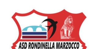 I biancorossi riprendono lo storico nome: sarà Asd Rondinella Marzocco (con nuovo stemma)
