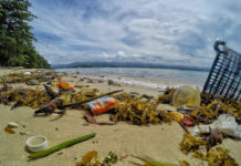 L’Asia, il suo fascino magnetico deturpato dalla plastica: e quello che posso fare io