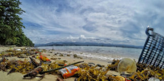 L’Asia, il suo fascino magnetico deturpato dalla plastica: e quello che posso fare io