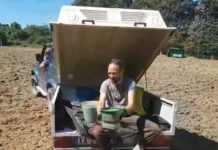 VIDEO / Amatori Panzano, l’estate è il tempo della semina… nel vero senso della parola