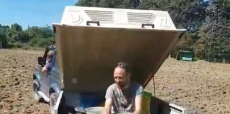 VIDEO / Amatori Panzano, l’estate è il tempo della semina… nel vero senso della parola