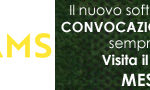 BannerSporteamsOK