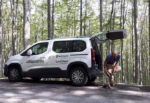 Provo a raccontarvi cosa vuol dire (per me) andare nel bosco alla ricerca di funghi