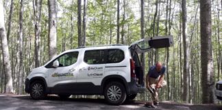 Provo a raccontarvi cosa vuol dire (per me) andare nel bosco alla ricerca di funghi