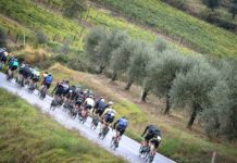 Granfondo del Gallo Nero 2019, in 800 in sella… nonostante la pioggia