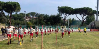 Poggibonsi, finalmente preparazione avviata e allestimento della rosa in corso