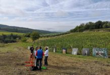 A Castellina in Chianti si tira con l’arco in mezzo alle vigne: inaugurato il campo permanente