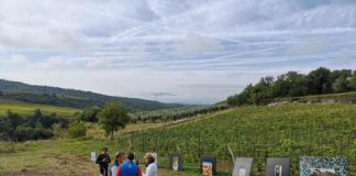 A Castellina in Chianti si tira con l’arco in mezzo alle vigne: inaugurato il campo permanente