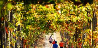 EcoMarathon, in “corsa” gli sponsor: aperto il bando per i soggetti interessati