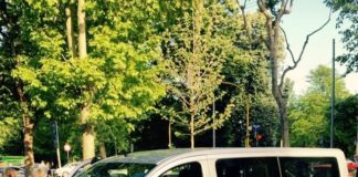 Belmonte, nella notte recuperato a Firenze il pulmino rubato: “Grazie a tutti per la collaborazione”