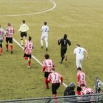 rondinella cubino IMG_5794