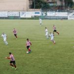 rondinella cubino IMG_5803