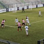 rondinella cubino IMG_5809