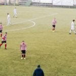 rondinella cubino IMG_5815