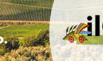 banner-alto-gazzettino-696×90
