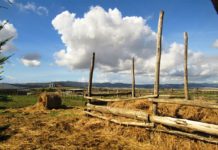 “Camminare in Toscana”: Santa Luce, cartolina di bellezza e silenzio fra acqua, cielo e terra