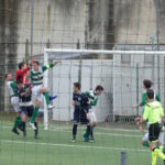 Chianti Nord CastelfrancoP1010573