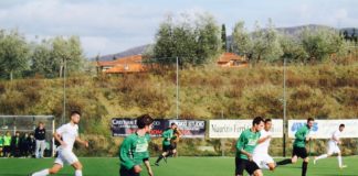 Una Prima Categoria con tantissime chiantigiane. Le ipotesi dei gironi (a 13) per la stagione 2020/21