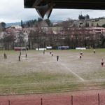 Grevigiana Rondinella IMG_6692