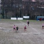 Grevigiana Rondinella IMG_6693