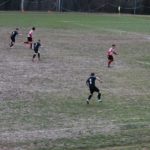 Grevigiana Rondinella IMG_6694