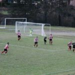 Grevigiana Rondinella IMG_6695