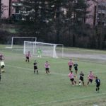 Grevigiana Rondinella IMG_6696