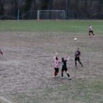 Grevigiana Rondinella IMG_6697