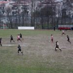 Grevigiana Rondinella IMG_6698