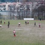 Grevigiana Rondinella IMG_6699