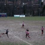 Grevigiana Rondinella IMG_6701