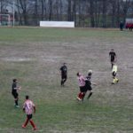 Grevigiana Rondinella IMG_6703