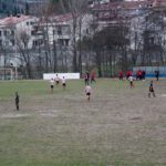 Grevigiana Rondinella IMG_6704