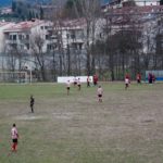 Grevigiana Rondinella IMG_6705