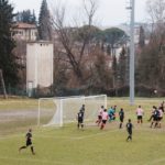 Grevigiana Rondinella IMG_6707