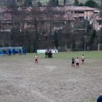 Grevigiana Rondinella IMG_6709