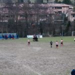 Grevigiana Rondinella IMG_6710