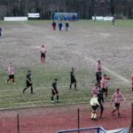 Grevigiana Rondinella IMG_6711