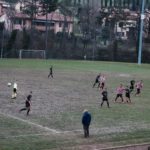 Grevigiana Rondinella IMG_6712