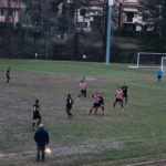 Grevigiana Rondinella IMG_6713