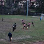 Grevigiana Rondinella IMG_6714