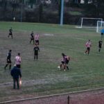 Grevigiana Rondinella IMG_6715