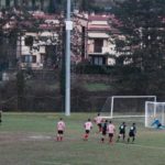 Grevigiana Rondinella IMG_6717