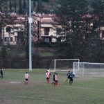 Grevigiana Rondinella IMG_6718