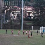 Grevigiana Rondinella IMG_6719